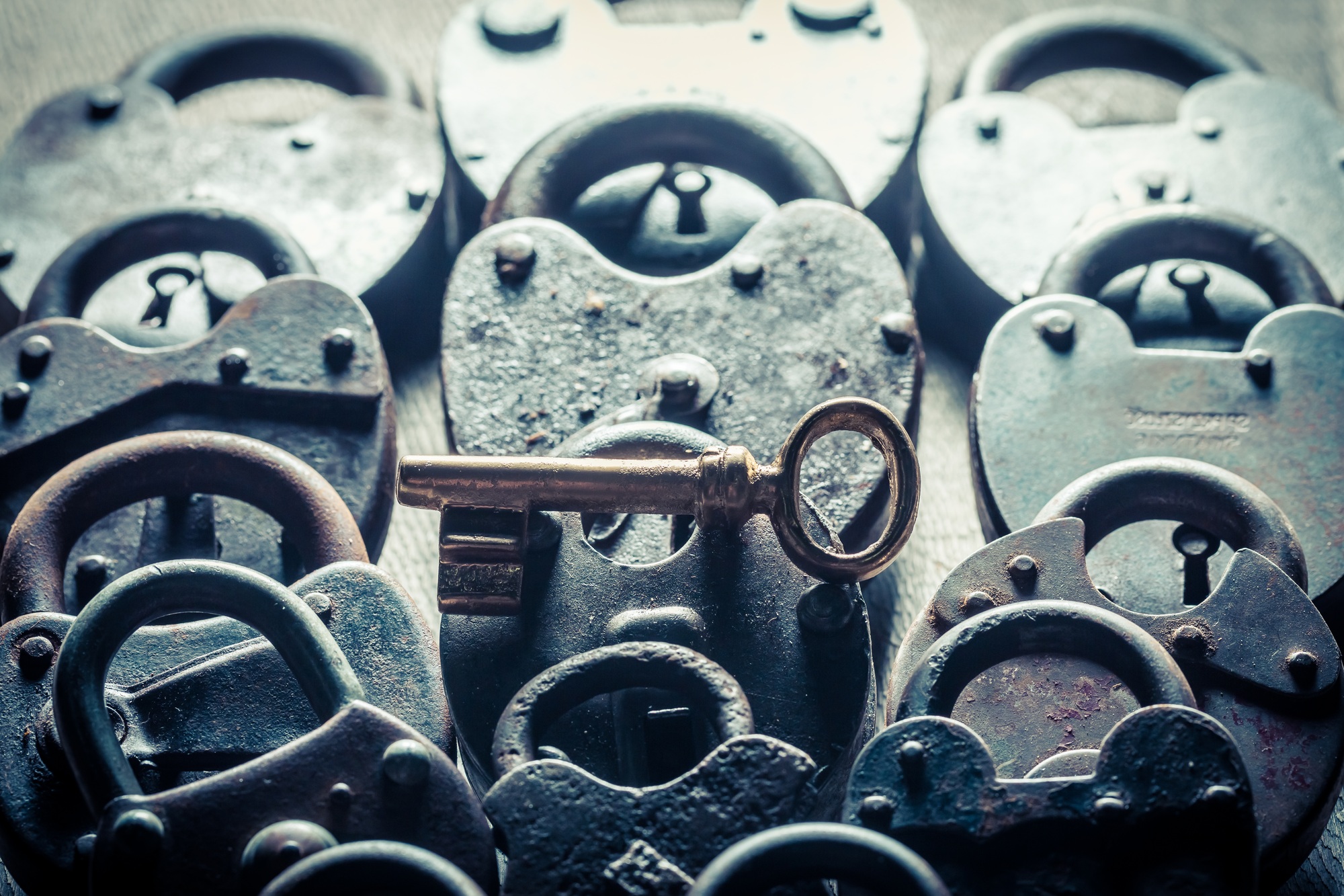 One key and many padlocks as concept image